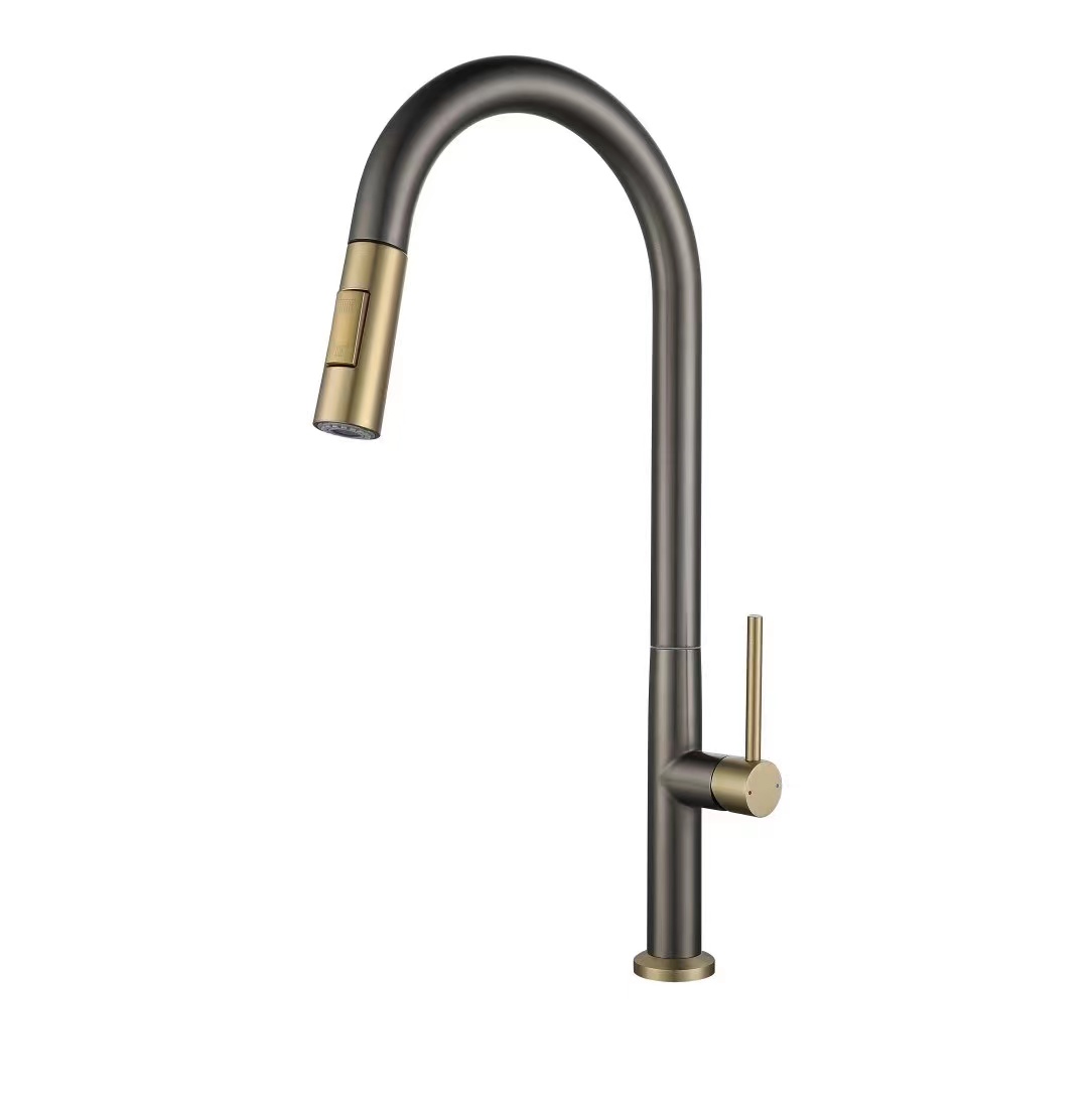 Grifo extraíble para cocina 618006GG