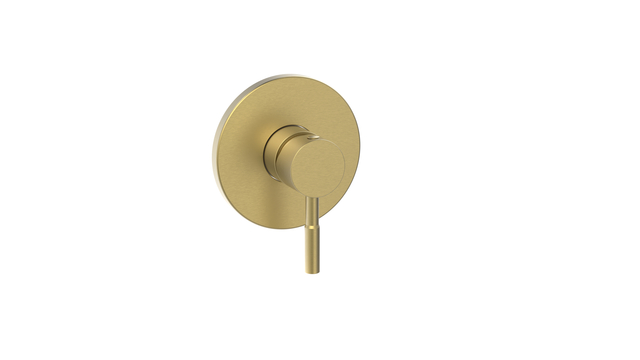 SUS304 Grifo de ducha oculto SS-956