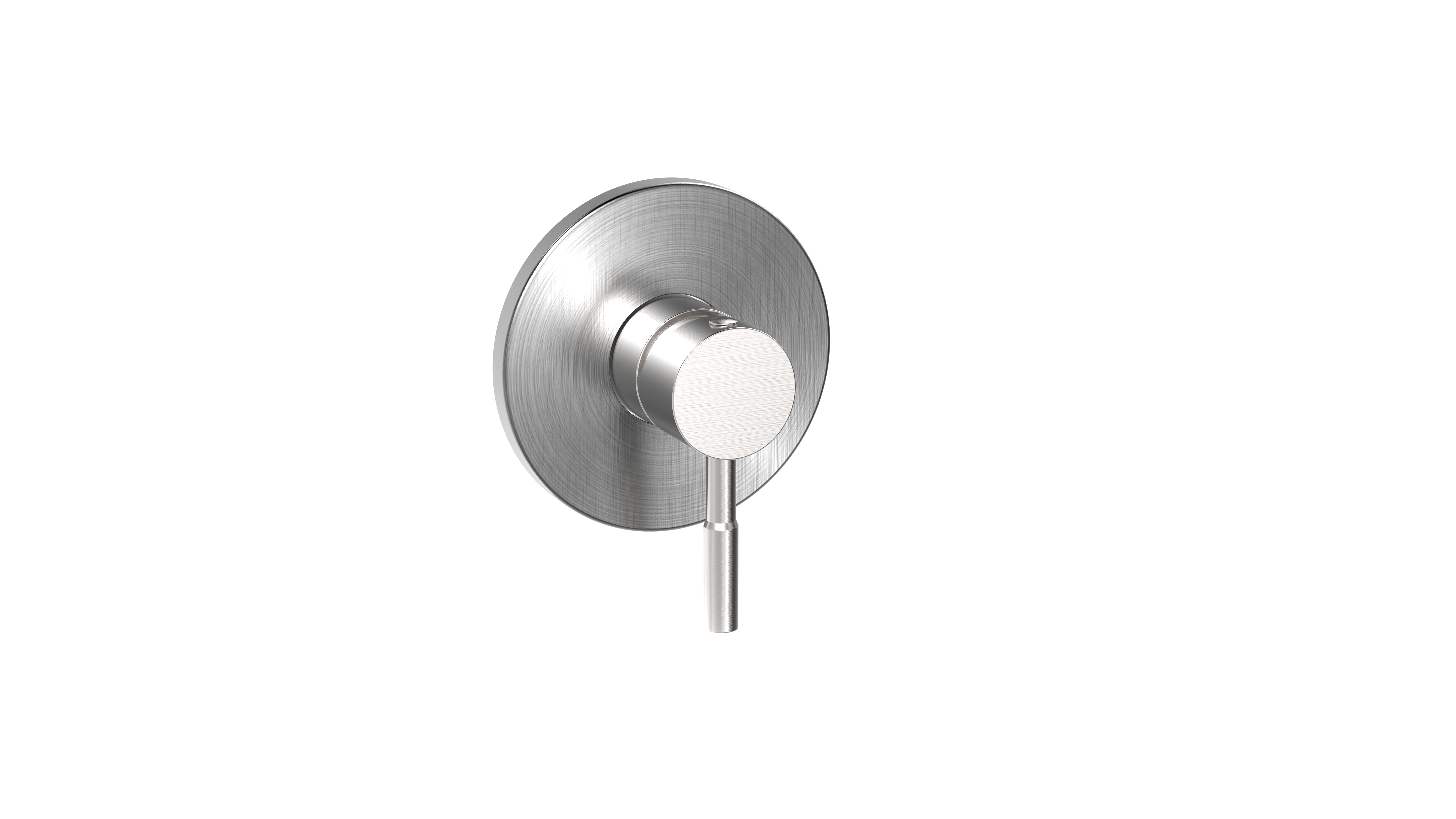SUS304 Grifo de ducha oculto SS-956