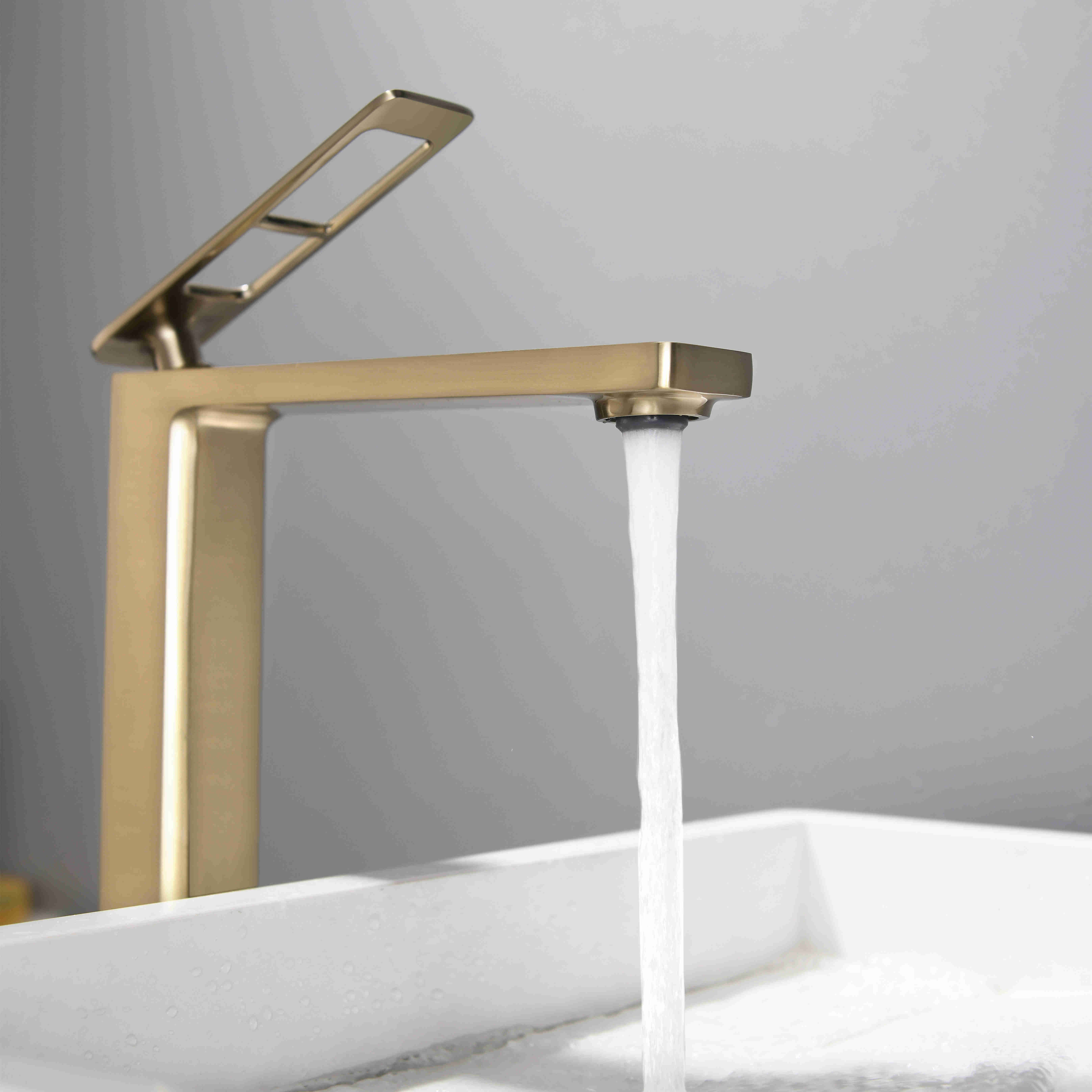 Grifo alto para lavabo 600206BG